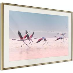 Arkiio Affisch Flamingos Race [Poster] 30x20 Poster